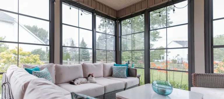 Bright sunroom with black-framed windows on three sides, a white sectional and a cat napping on the cushions